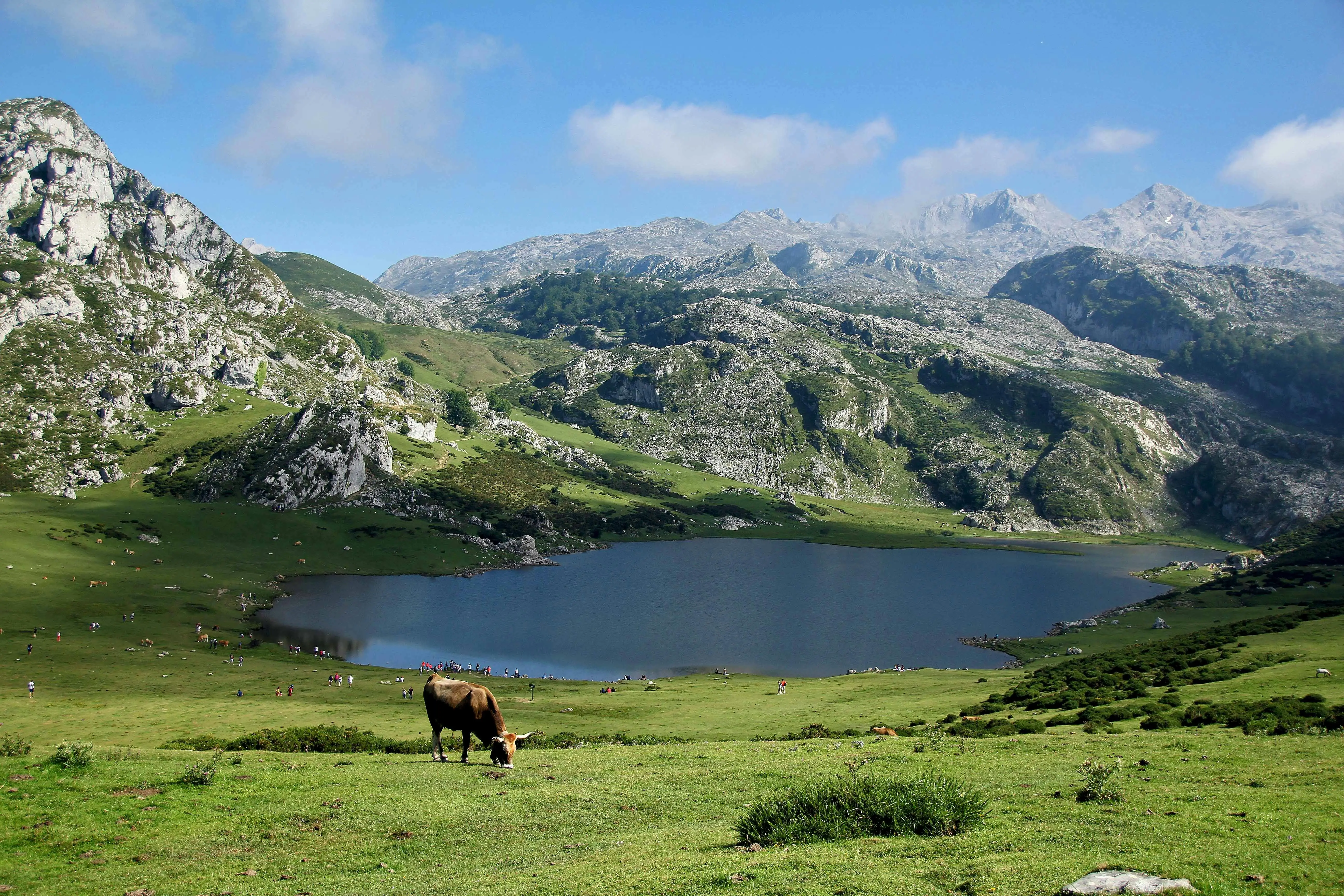 Covadonga Lakes glacial waters reflecting limestone peaks at sunrise in Picos de Europa, Asturias, Spain with morning mist