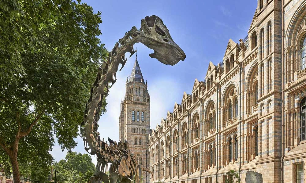 Natural History Museum Hintze Hall at golden hour with blue whale skeleton suspended above Victorian terracotta architecture London