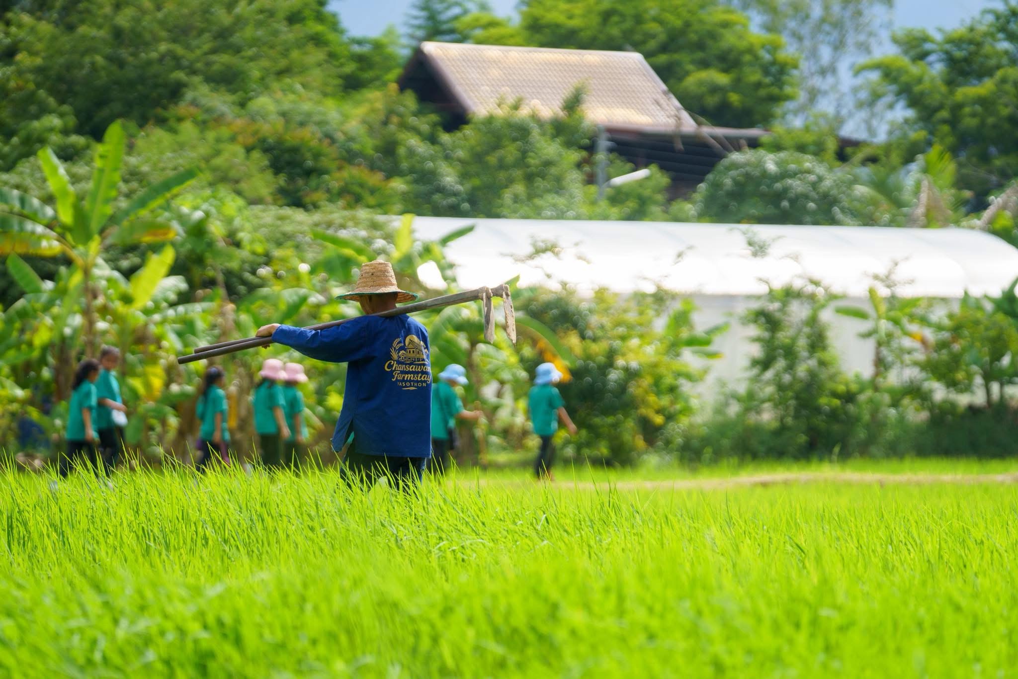 7 ฟาร์มสเตย์เด่นยโสธร ที่ต้องไปสัมผัสวิถีถิ่น