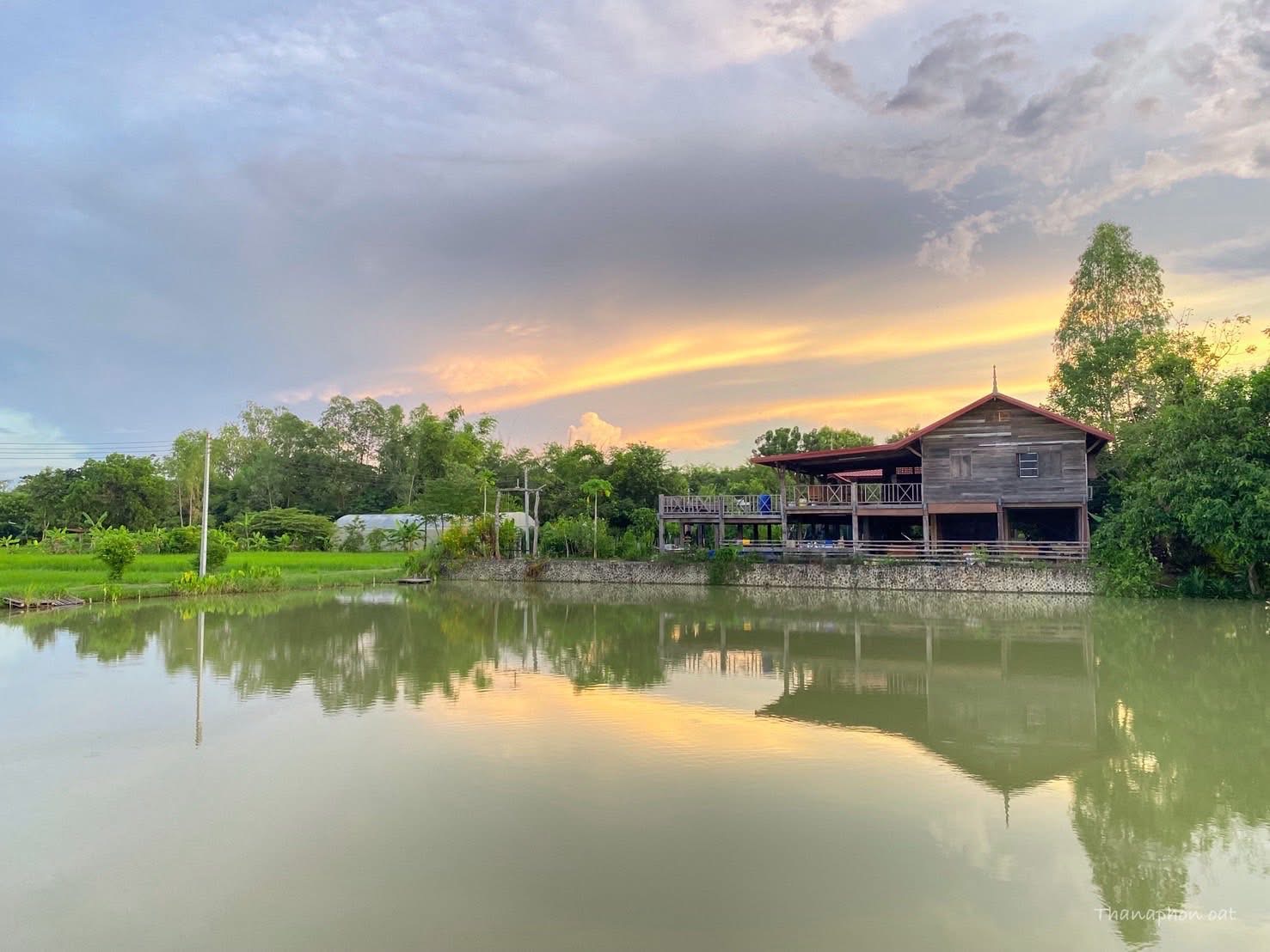 นาจันทร์สว่างฟาร์มสเตย์ แหล่งเรียนรู้เกษตรท่ามกลางท้องทุ่ง