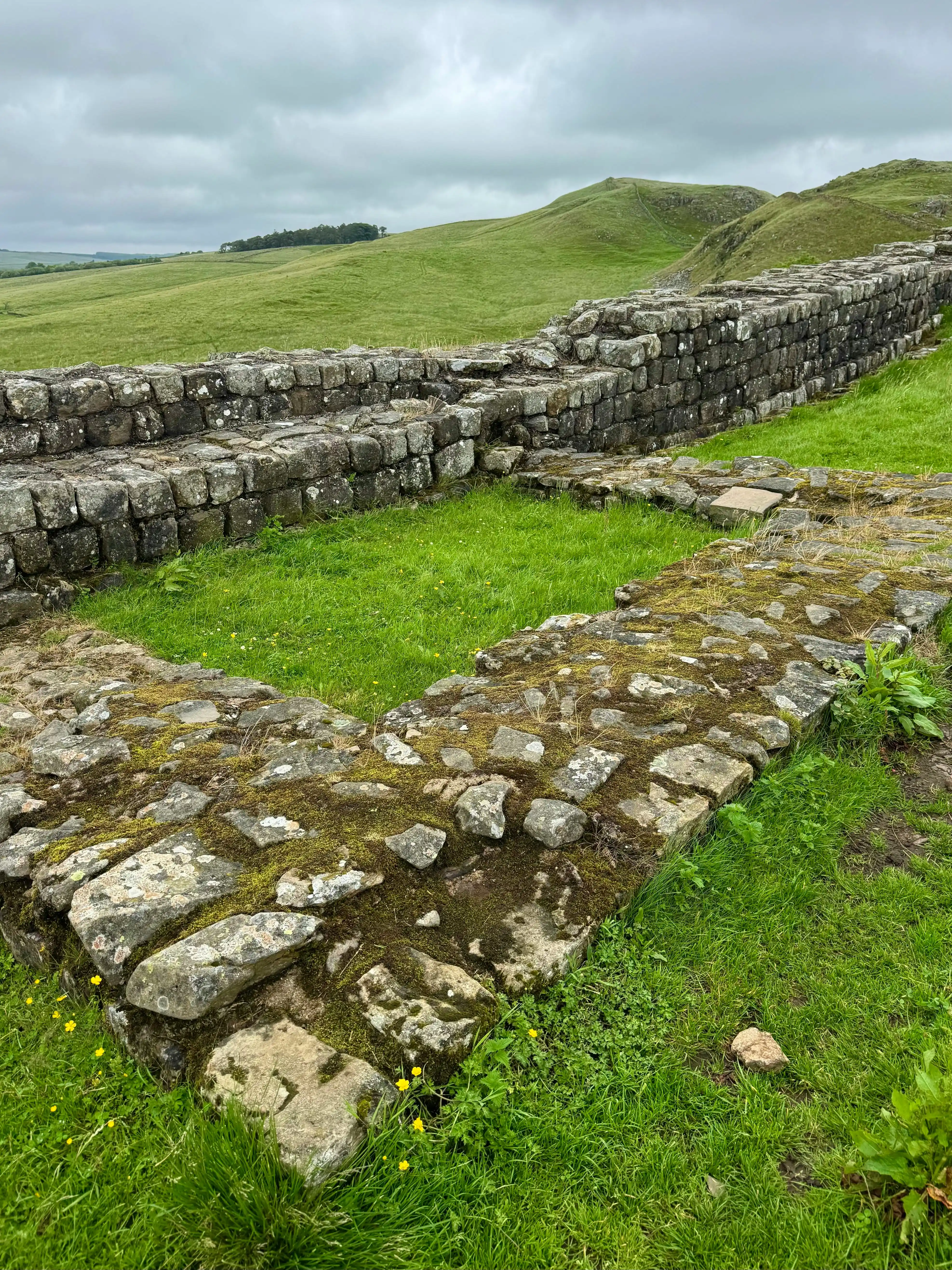 Wind-swept stone ruins of Hadrian's Wall stretching across Northumberland hills under dramatic cloudy sunset sky