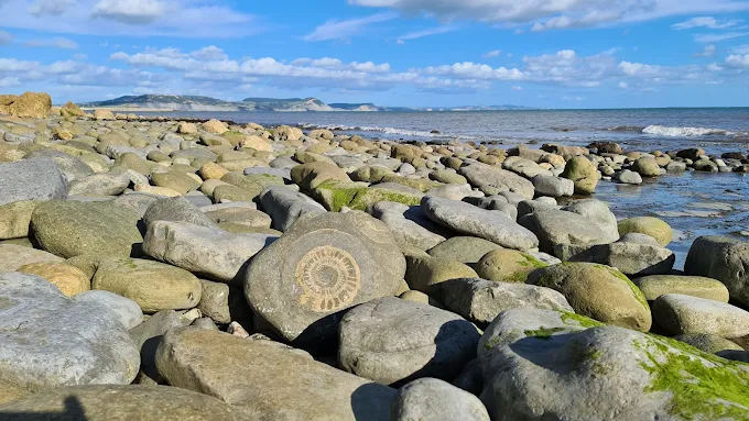 Lyme Regis fossil beaches at low tide with golden sunlight illuminating ammonites on Jurassic Coast Dorset England