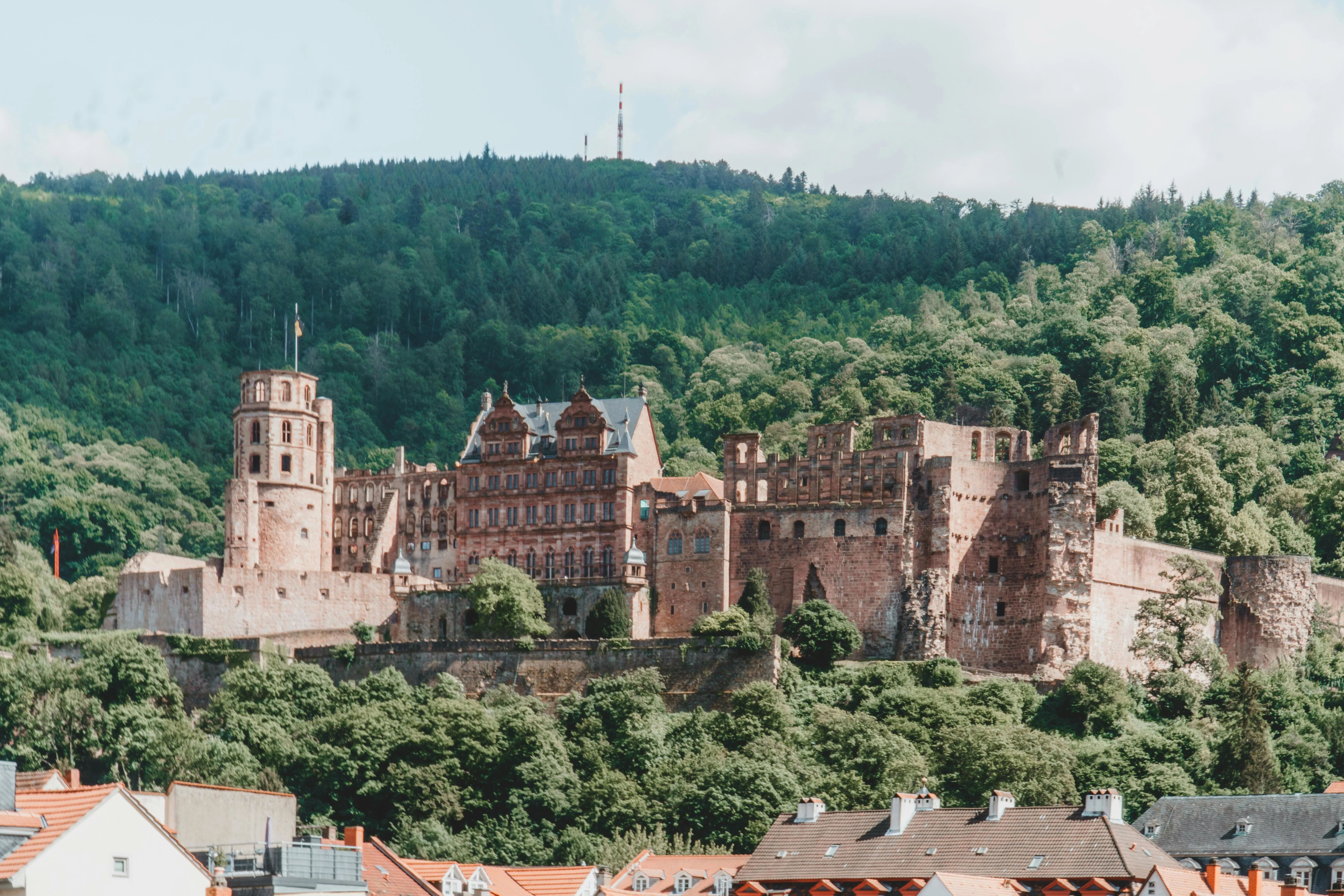 Red sandstone Heidelberg Castle ruins at sunset with Neckar River valley and vineyards in Baden-Württemberg Germany