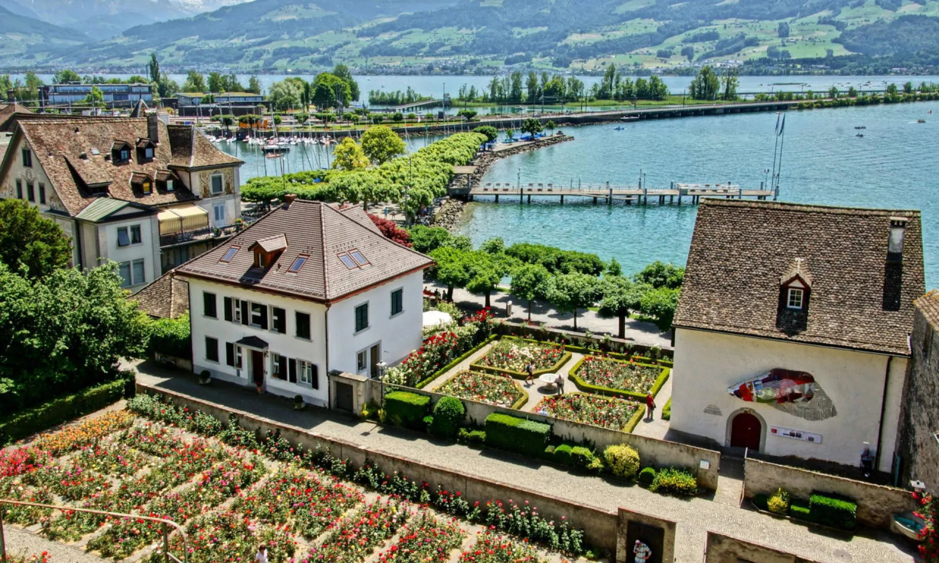 Rapperswil rose town medieval castle at sunrise with Lake Zurich, blooming rose gardens foreground, St. Gallen canton morning light