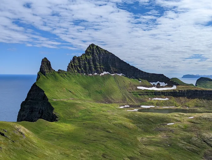 Hornstrandir Nature Reserve dramatic cliffs at midnight sun with Arctic fox and wildflowers in foreground