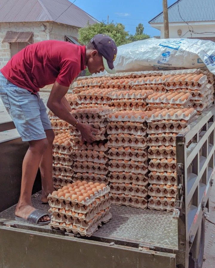 Moringa and neem used in natural farming
